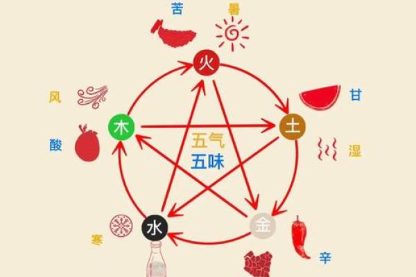 韩五行属性解析