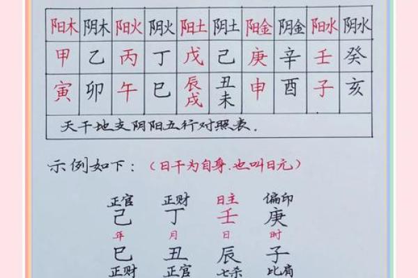 同五行与命理分析