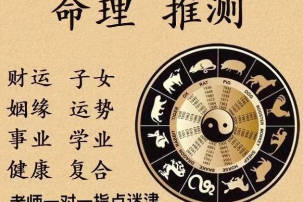 宝宝命理揭秘：运势旺旺，未来星光璀璨！