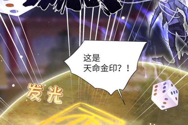天命姻缘：豪门弃女逆袭记
