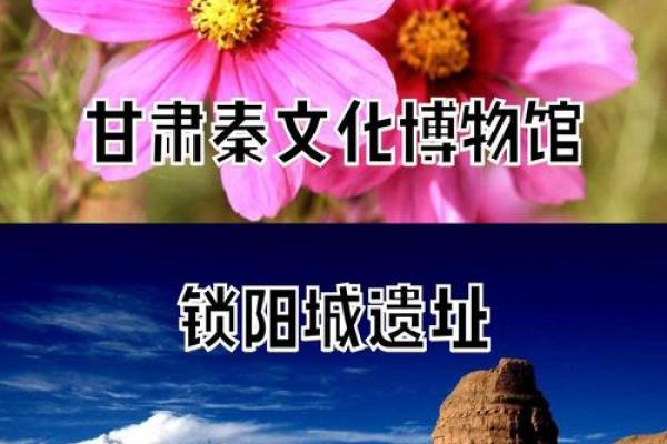 探寻甘肃历史遗产中的文化瑰宝