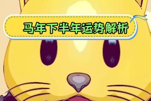 属马人的事业与财运走势分析
