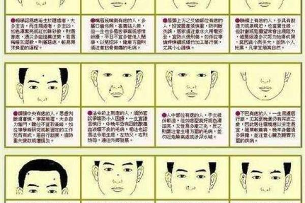 鼻面相学揭秘：露仓鼻面相，运势如何？