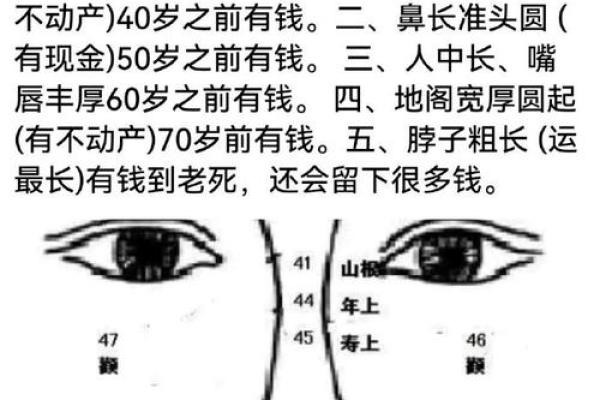 面相解析：圆滑之人的魅力与运势