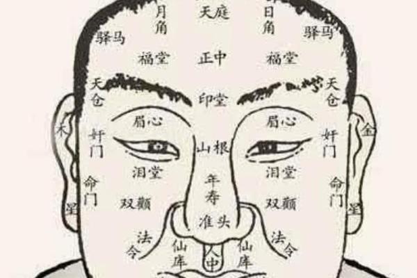 面相揭秘：日月角汗毛面相背后的神秘寓意