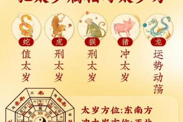 属猪人的命运走势