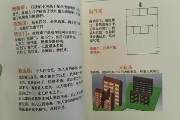 探索日本风水文化中的传统智慧与生活哲学