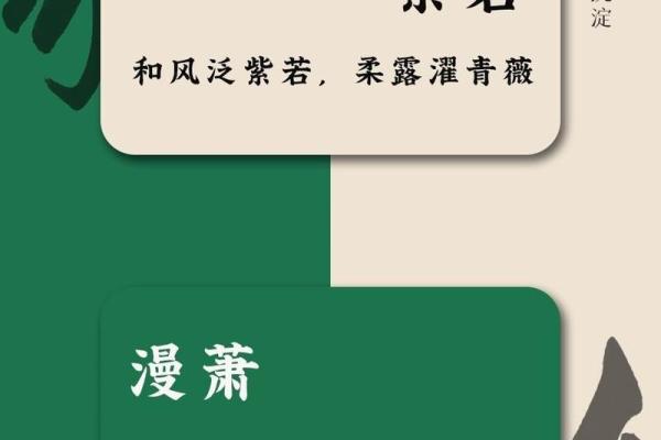 探索姓名文化：传统文化中的命名艺术