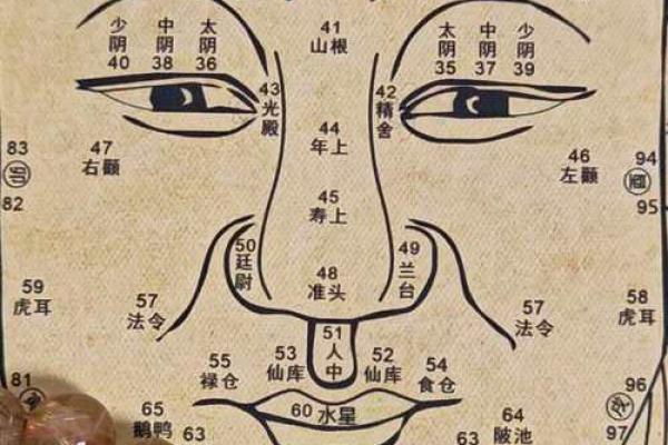 面相山林饱满：财运亨通，福泽深厚之相
