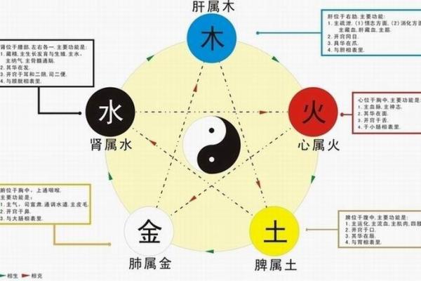 阴阳五行与八卦的相生相克