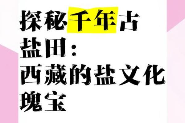 探秘西藏传统文化的瑰宝与传承