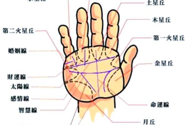 面相解码：揭秘面相大师的传世秘籍
