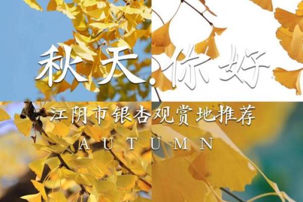 秋意渐浓，节日盛宴来袭！