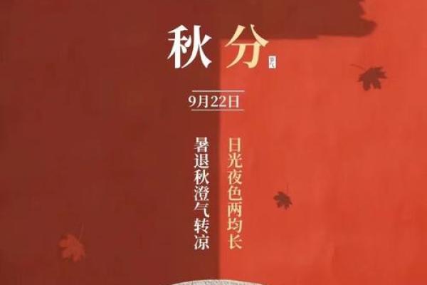 秋意渐浓，节日盛宴来袭！