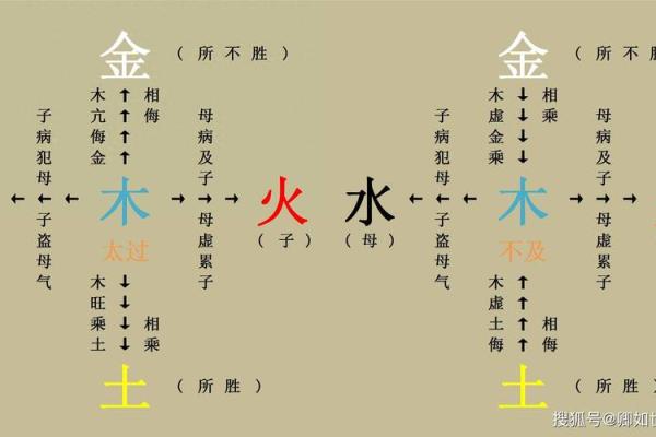 荣五行的分类与分析，揭开其神秘面纱