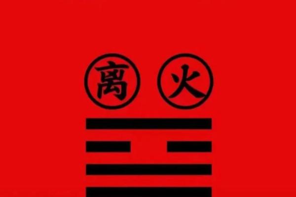 木火型面相之人运势旺盛，财运亨通