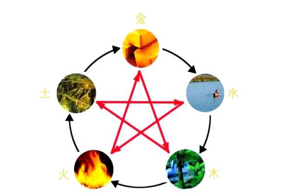 探索五楼的五行奥秘