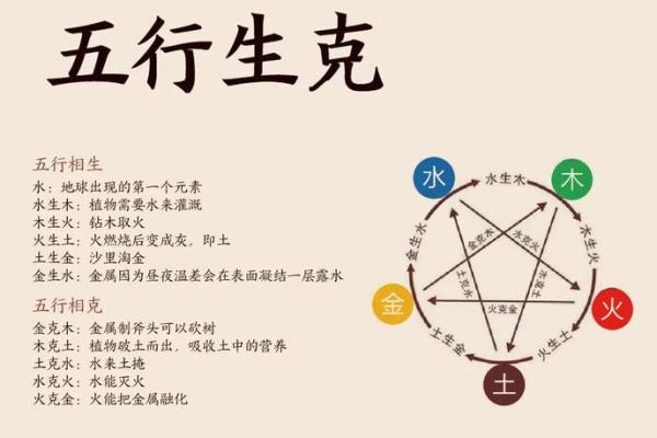 探索五楼的五行奥秘