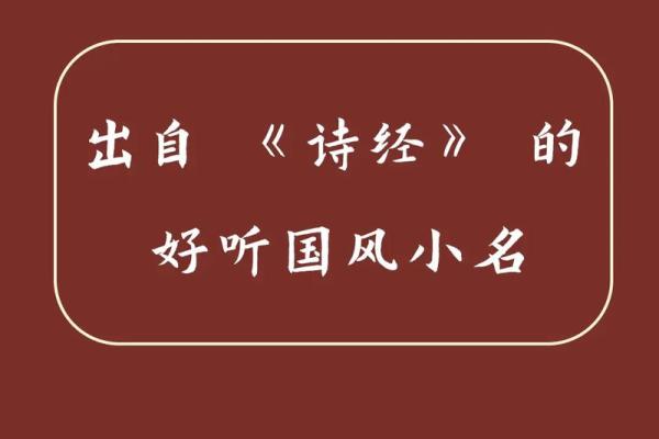 小名背后的传统文化符号