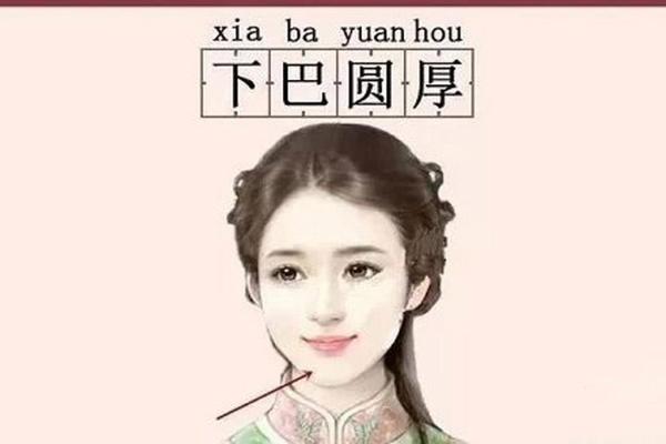 面相解析：丰满肉感面部特征之寓意