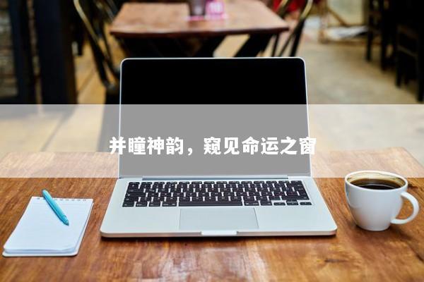 并瞳神韵，窥见命运之窗