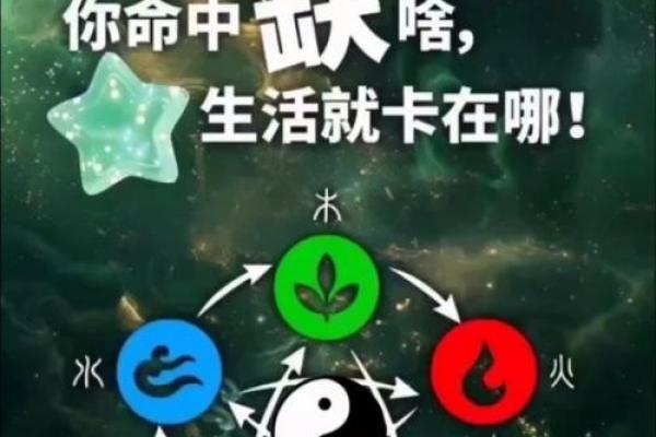探索泰五行在现代生活中的应用