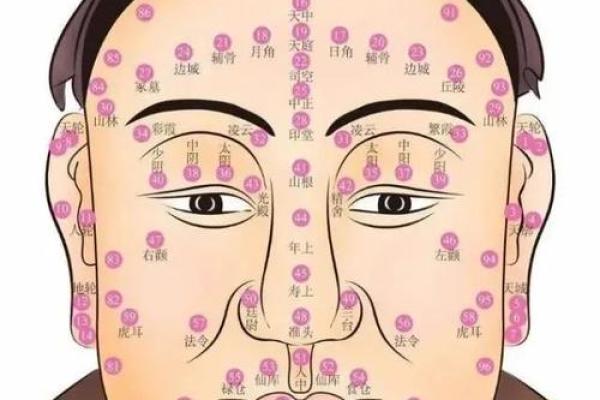 男相女韵：揭秘面相中的阴阳之美
