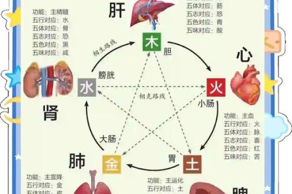 陈五行的深层解读