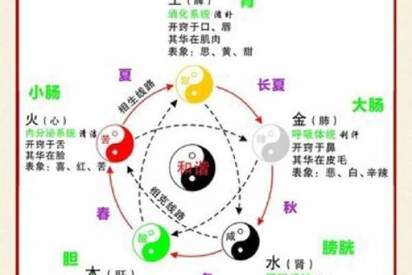 探索心在五行中的位置