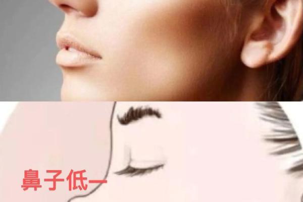 鼻根窄的面相特点与命运影响