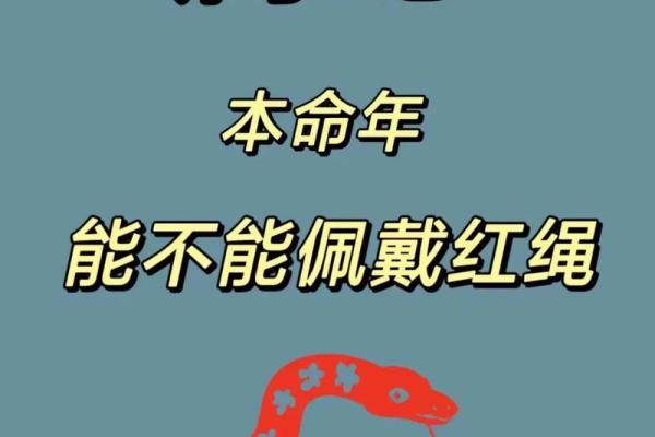 蛇字五行属什么解析