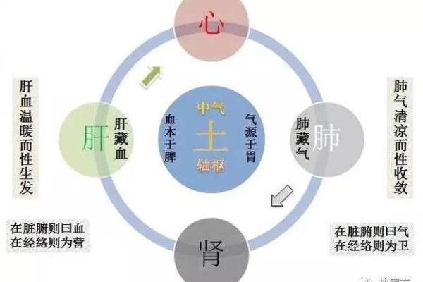 解密静五行在现代生活中的作用