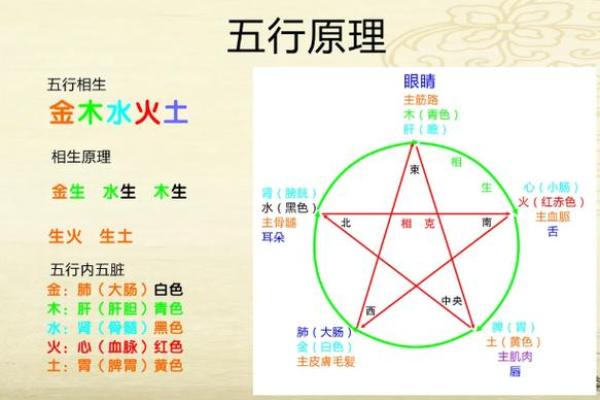 三字五行属什么 解读五行属性与命理关系