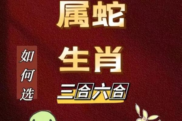五行与蛇的关系：蛇属于哪一行