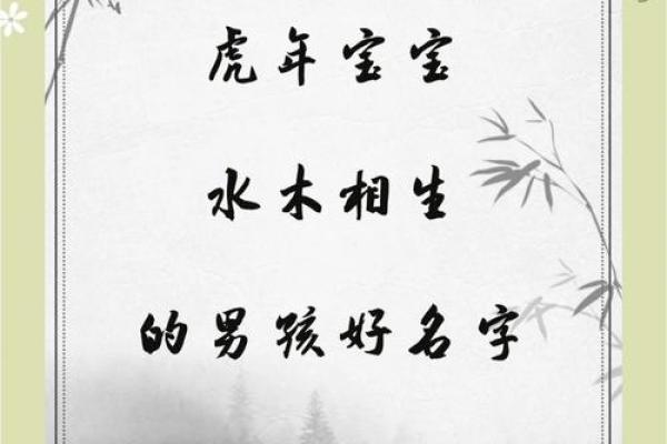 木元素命名：为男孩选择合适的名字
