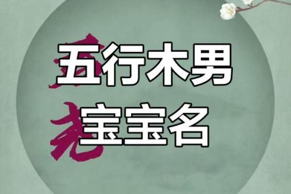 木元素命名：为男孩选择合适的名字