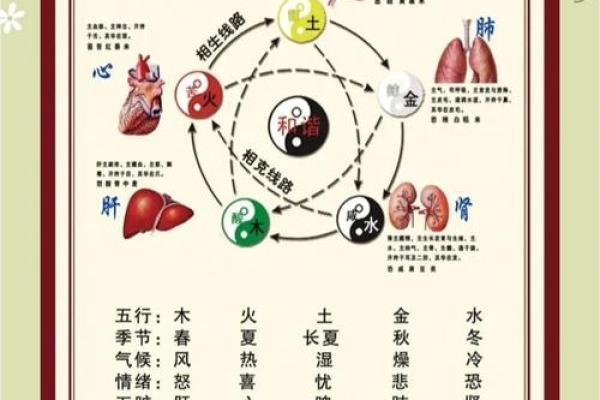 解读西南五行与健康的密切关系