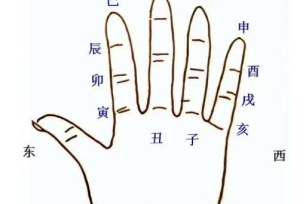掌中乾坤，单八卦手相揭秘人生奥秘