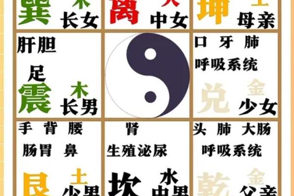 掌中乾坤，单八卦手相揭秘人生奥秘