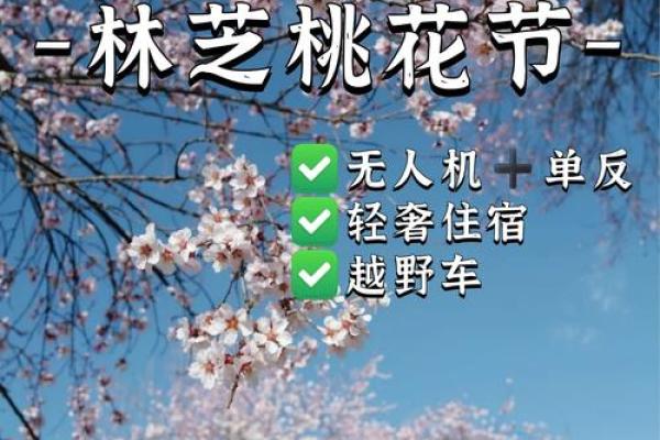 桃之夭夭，春风十里：三月的桃花节习俗探寻