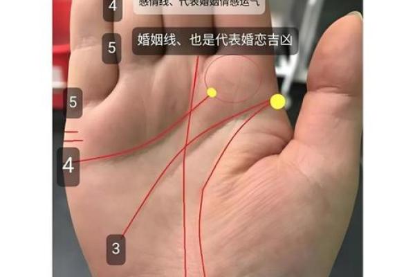 解锁命运密码：手相奥秘大揭秘
