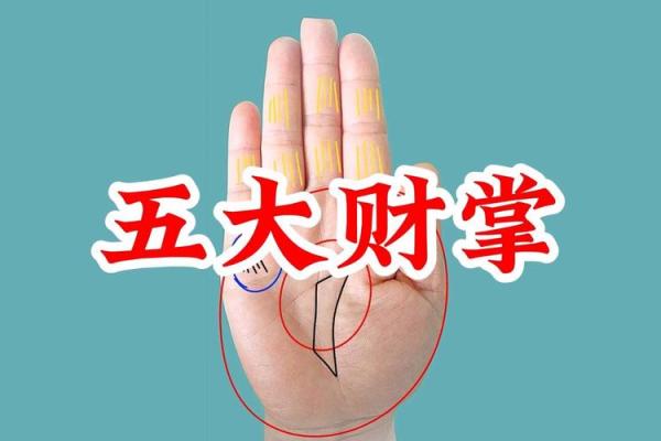 掌中螺旋，解锁财运的秘密之门