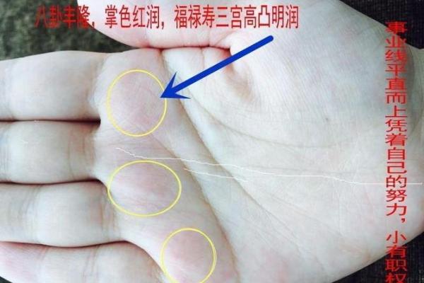掌中螺旋，解锁财运的秘密之门