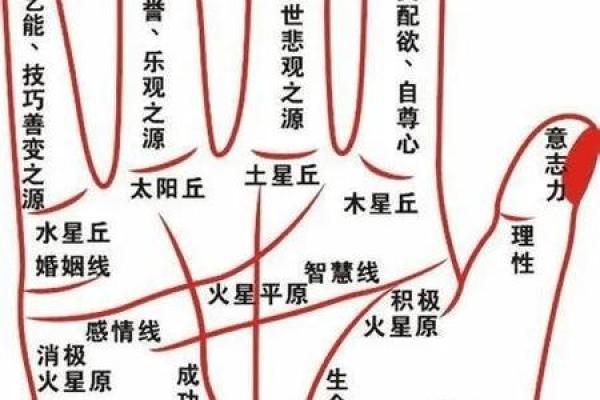手相揭秘：你的姻缘红线在哪里？