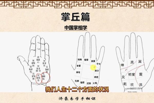 手相揭秘：揭秘命运的秘密之门