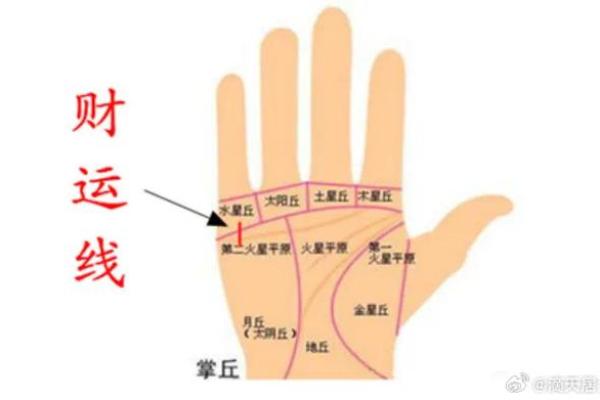 金星手相揭秘：爱情运旺的秘密武器