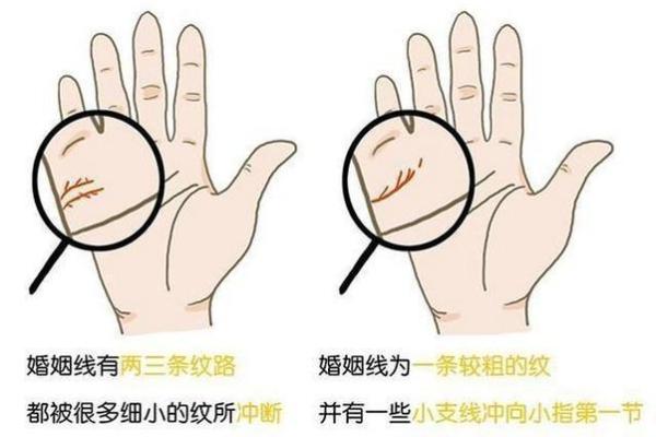 手相算命大揭秘：婚姻线解析，教你一眼看穿婚姻好坏