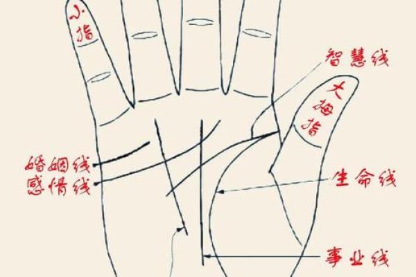 手相探秘：一招看懂你的健康状况