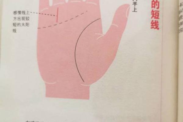 手相学大揭秘：太阳线位置，揭示你的命运轨迹！