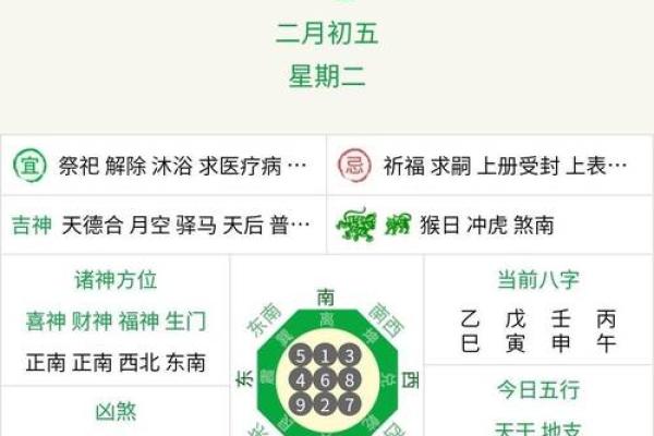 2024鼠年运势大揭秘：麦玲玲独家生肖秘籍，你的运势如何？